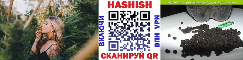 дарк нет клад  Зея  ГАШИШ Изолятор 