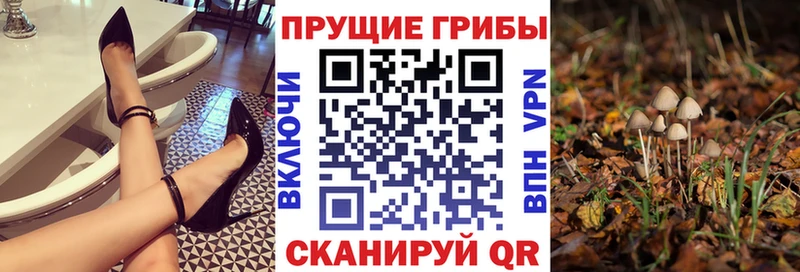 Галлюциногенные грибы Psilocybine cubensis  даркнет сайт  KRAKEN как зайти  Зея 